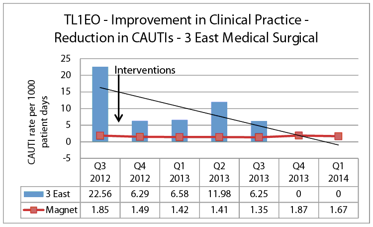 TL1EO Reduction in CAUTIs 3E